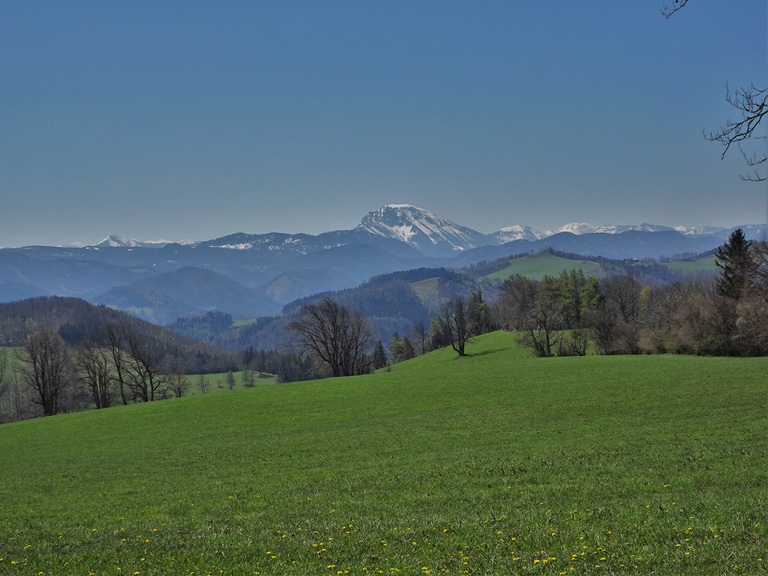 10 Mostviertler Bergwelt.JPG