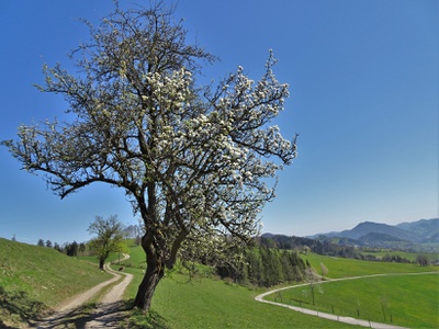 Impressionen vom Römerweg