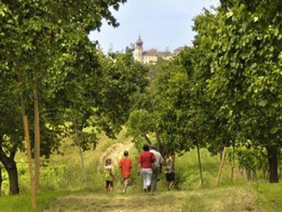 Marillenweg - Weinhof Aufreiter.jpg