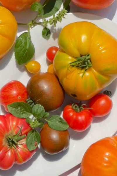 Frische Paradeiser, Zucchini und Paprika aus dem hauseigenen Garten