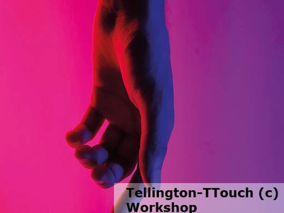 Tellington-TTouch for You® - WORKSHOP