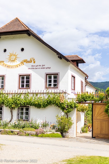 Weinhauer Brustbauer Weingut.jpg